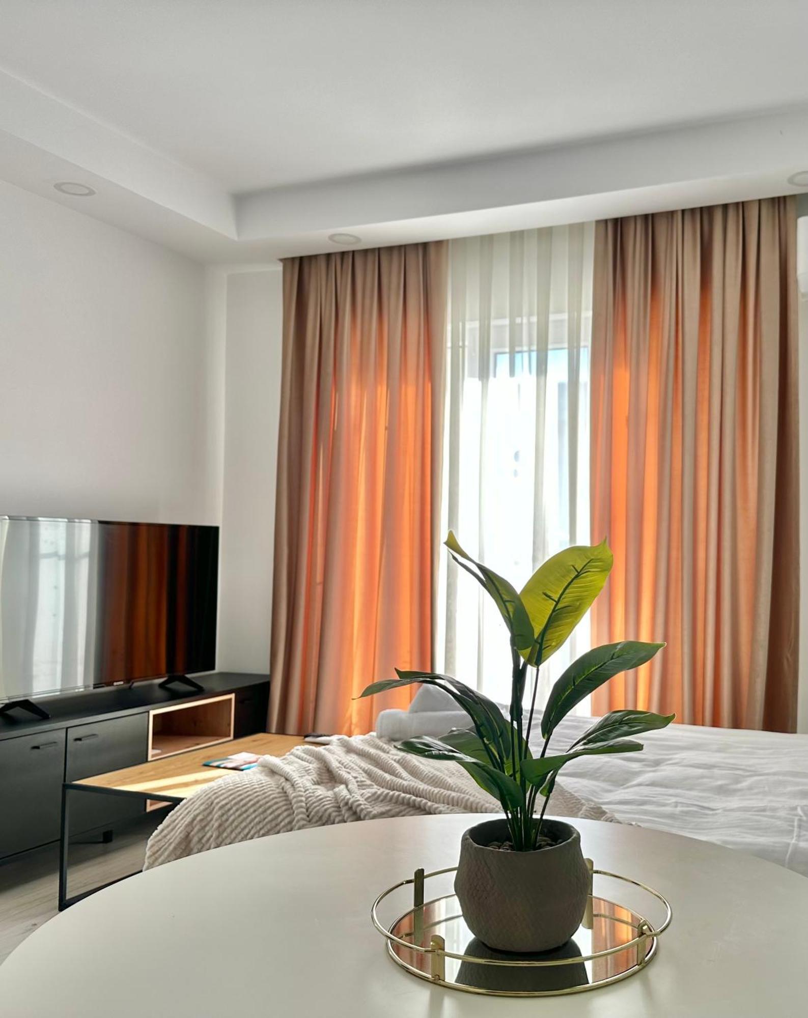 Single Room A503 Stayinn By Cosmopolis Stefanestii de Jos エクステリア 写真